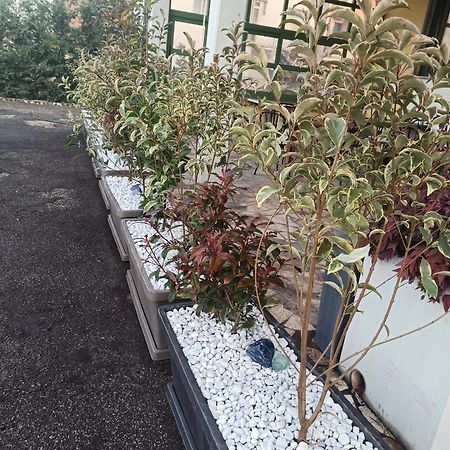 Albergo La Rovere Roverbella Exterior photo